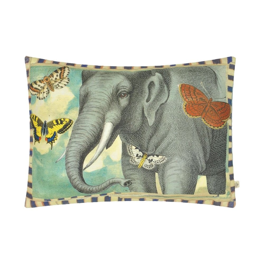 Een prachtig ontwerp van John Derian van een olifant omringd door vlinders. 